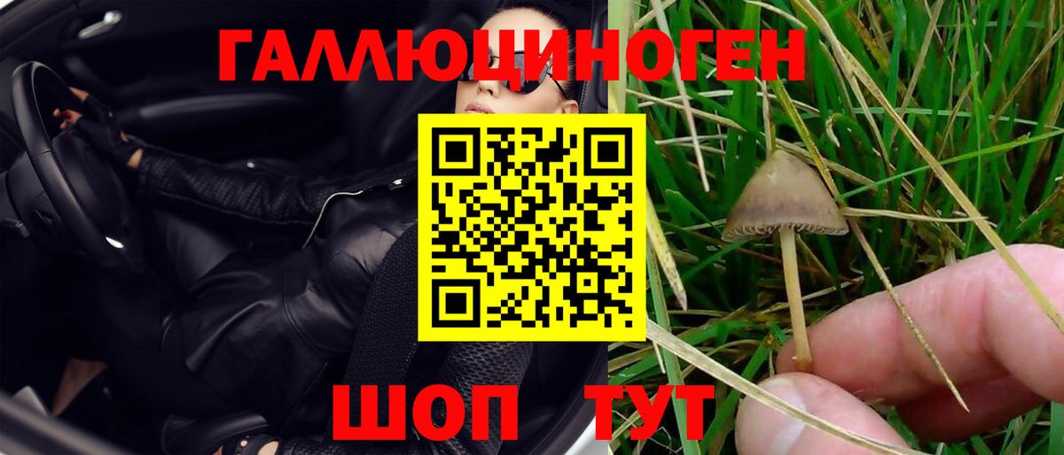 Галлюциногенные грибы MAGIC MUSHROOMS Альметьевск